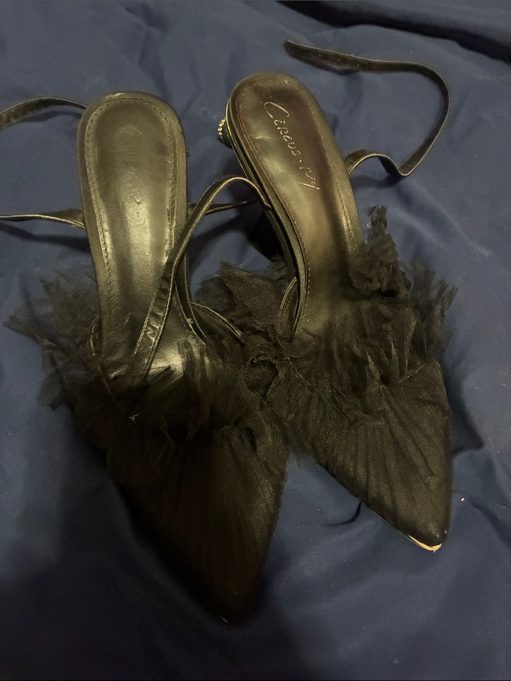 Circus by Sam Edelman Black Feathered Pointed Slingback Heels